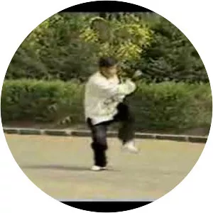 Pào Chuí (Pháo quyền)