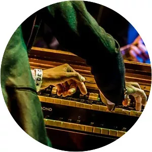 Paolo Negri - Musical artist