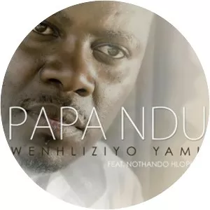 Papa Ndu - Musical artist