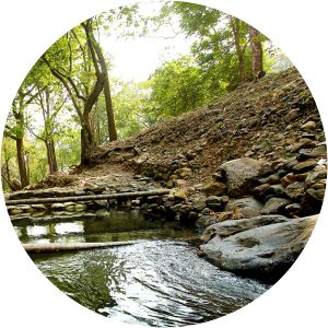 Papanaasini Thirunelly