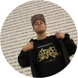 Papitas Freestyle - Musical artist