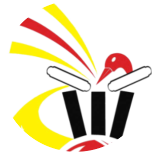 Papua New Guinea Cricket