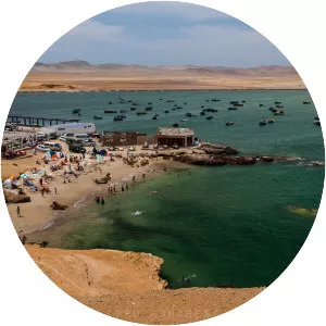 Paracas Bay