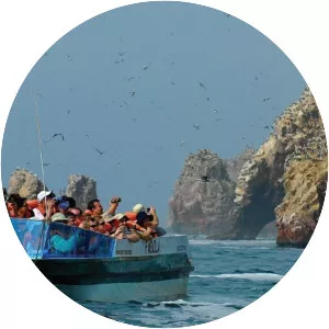 Paracas - Town in Peru