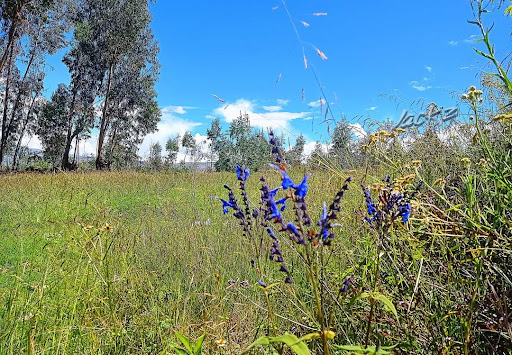 Paradero El Mantaro - Historical landmark in Peru
