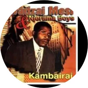 Paradzai Mesi and Njerama Boys - Musical artist