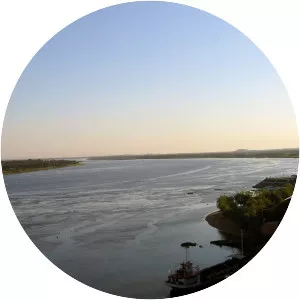 Paraguay River - River in South America