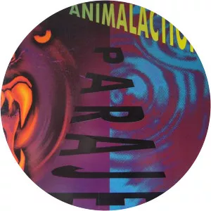 einstein doctor dj paraje - Musical artist