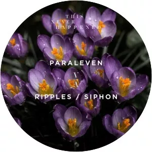 Paraleven - Musical artist