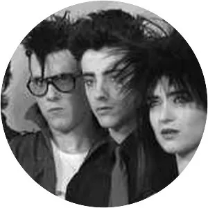 Parálisis Permanente