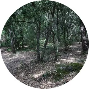 Parc de la Valmasque - 