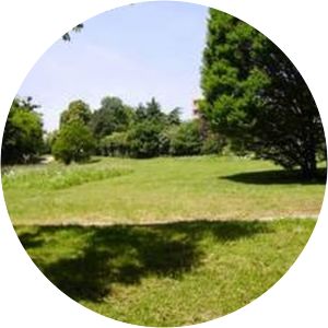 Parc de Montpellas - 