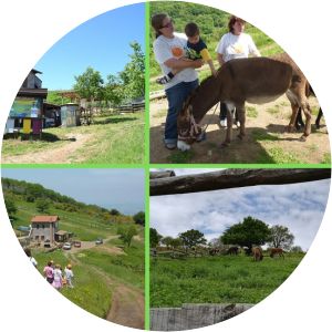 parco dei castelli romani la collina degli asinelli