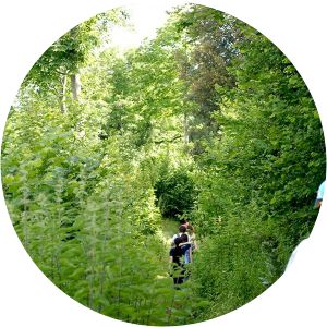 parco dei castelli romani monte salomone