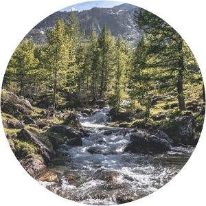 Parco naturale Orsiera-Rocciavrè