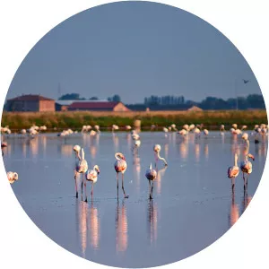 Parco regionale del Delta del Po - 