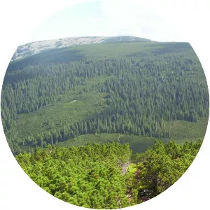 Parenky - Mountain in Ukraine