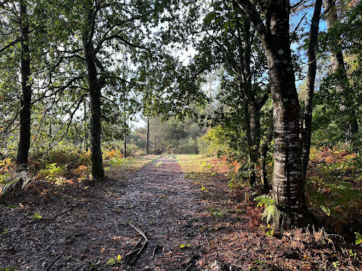 Parga-Campo De Tiro - Children's camp in Spain
