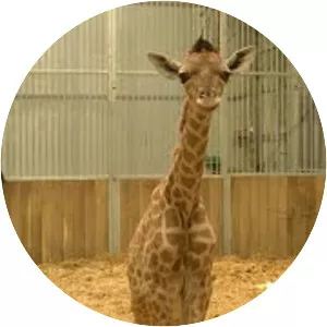 Paris Zoological Park