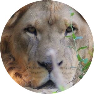 Park La Rupe Civitella Casanova