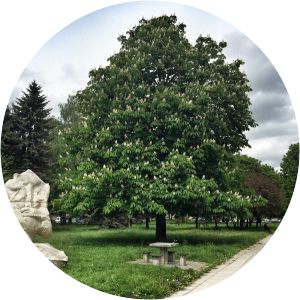 Park Ratuszowy in Kraków