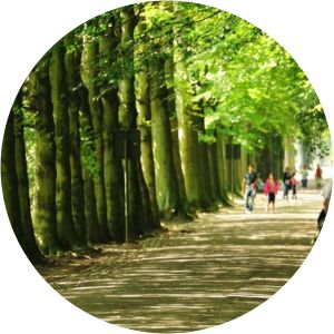 park van tervuren natuurgebied eggertingen