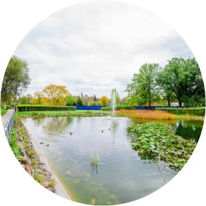 Park Zaczarowanej Dorożki - 