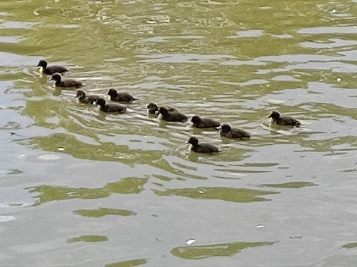 Parking gratuito del parque El Soto - Public parking space in Spain