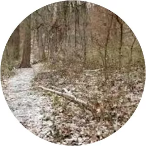 Parkville Nature Sanctuary - 