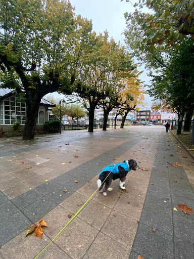 Parque Casa do Concello Carballo - Playground in Carballo, Spain