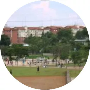 Parque da Juventude