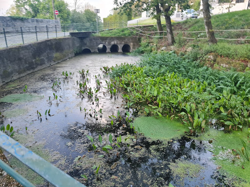 Parque das Corgas - Seixezelo - Park in Seixezelo, Portugal