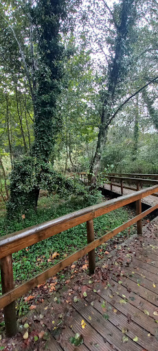 Parque das Termas de Caldas de S. Jorge