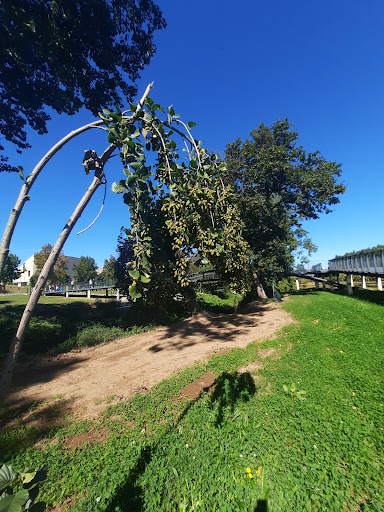 Parque das Varas photograph