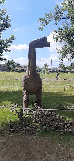 PARQUE DE GERIZES - Gym in Portugal