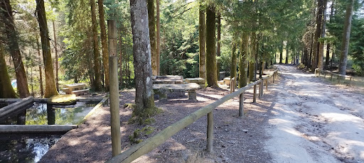 Parque de Merendas da Veiga