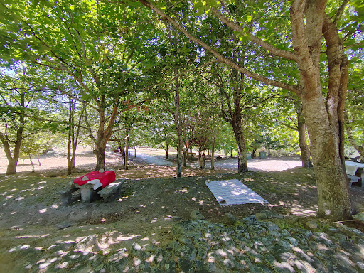 Parque de merendas - S. Pedro de Varais