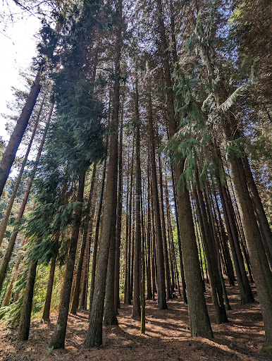 Parque de merendas Serra da meadas