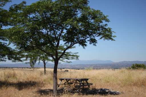 Parque de San Juan - City park in Spain