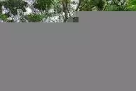 Parque Ecologico Mamey - 