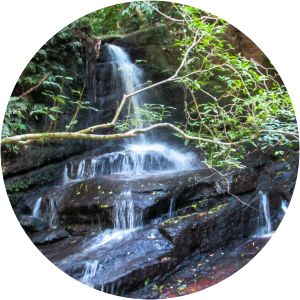 Parque Estadual da Pedra Branca