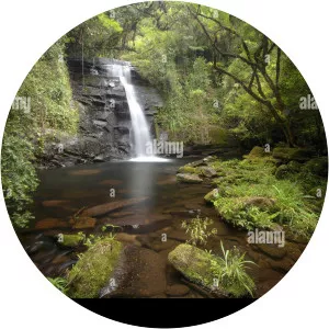 Parque Estadual Serra do Mar - 