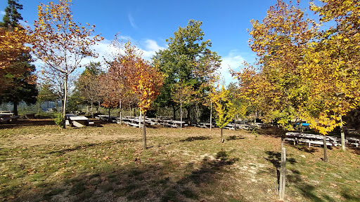 Parque Forestal de Trabazos - Park in Spain
