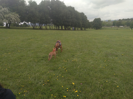 Parque Infantil Los Pericones II - Playground in Gijon, Spain