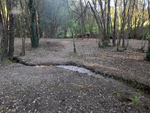 Parque Natural de Quintandona