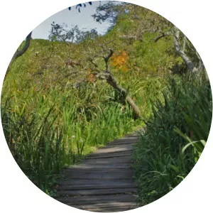 Parque Natural Municipal Ribera Norte