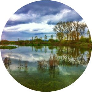 parque salburua parque de molinuevo