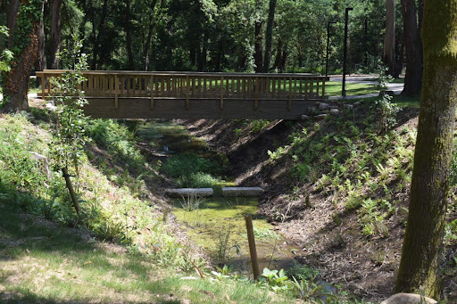 Parque Urbano de Moreira