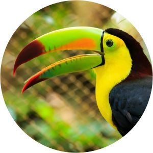 Parque Zoológico Nacional Simón Bolívar