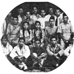 Parti Kebangsaan Melayu Malaya